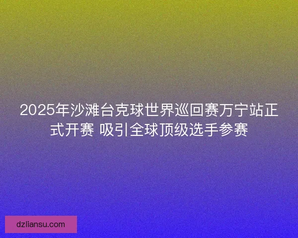 2025年沙滩台克球世界巡回赛万宁站正式开赛 吸引全球顶级选手参赛