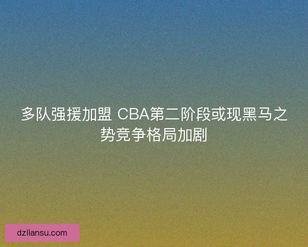 多队强援加盟 CBA第二阶段或现黑马之势竞争格局加剧