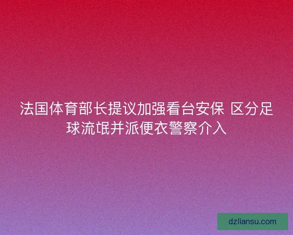 法国体育部长提议加强看台安保 区分足球流氓并派便衣警察介入