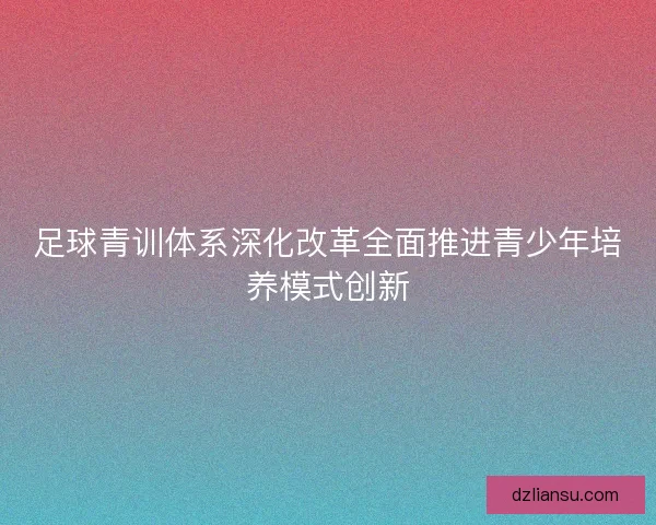 足球青训体系深化改革全面推进青少年培养模式创新