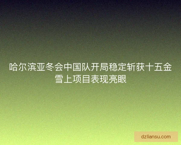 哈尔滨亚冬会中国队开局稳定斩获十五金雪上项目表现亮眼